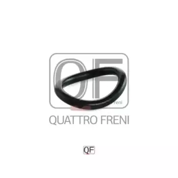 Кольцо уплотнительное автомобильное QUATTRO FRENI QF53A00001