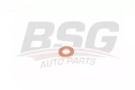 Кольцо уплотнительное форсунки BSG BSG 30-995-049