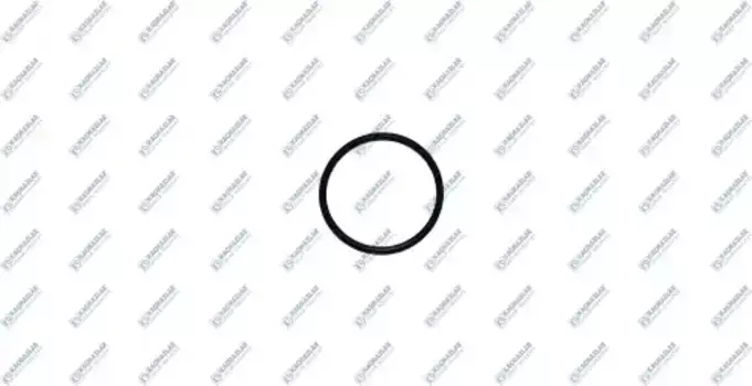 кольцо уплотнительное КПП !\42 3B ACM1 80 K2002527 KACMAZLAR