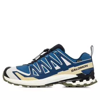 Мужские кроссовки XA Pro 3D V9 GORE-TEX