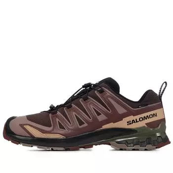 Мужские кроссовки XA Pro 3D V9 Gore-Tex