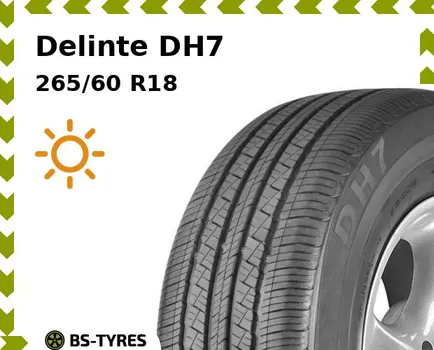 Летние шины Delinte