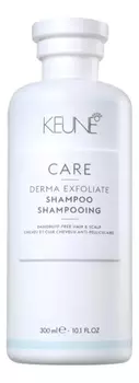 Отшелушивающий шампунь для волос и кожи головы Care Derma Exfoliate Shampoo: Шампунь 1000мл