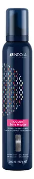 Оттеночный мусс с эффектом стайлинга Color Style Mousse 200мл: Anthracite