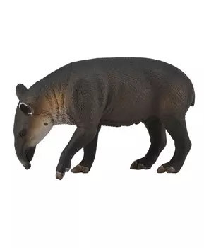 Тапир Бэрда, L