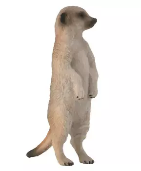 Сурикат, S