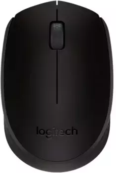 Мышь беспроводная LOGITECH M171 Black (910-004424)