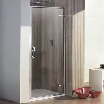 Душевая дверь в нишу Weltwasser WW900 900К1-100