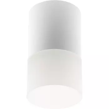 Светильник потолочный Ritter Essen GU5.3 10 Вт 4 кв.м белый IP20 (52059 7)