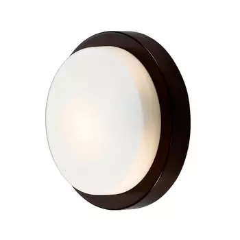 Настенно-потолочный светильник Odeon Light Holger 2744/1C