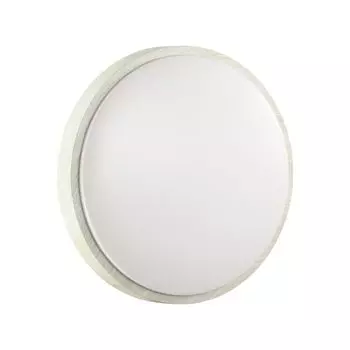 Настенно-потолочный светильник Sonex LOSTA 7628/EL
