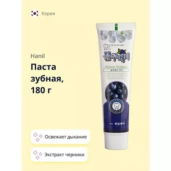 HANIL Паста зубная с экстрактом черники и перечной мяты 180.0