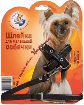 Зооник шлейка кожа для маленьких собак на блистере (+поводок 1.5 м) (1,5 м.)