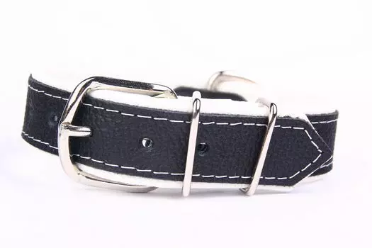 ZOOLESZCZ ошейник для собак Neo (55 х 3 см., Черно-белый)