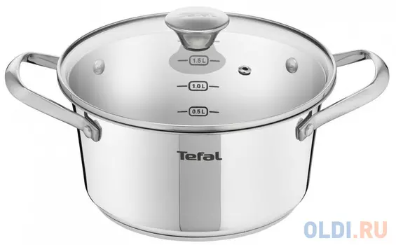 Кастрюля Tefal Simpleo B9074474 2.7л. d=20см (с крышкой) серебристый (2100108698)