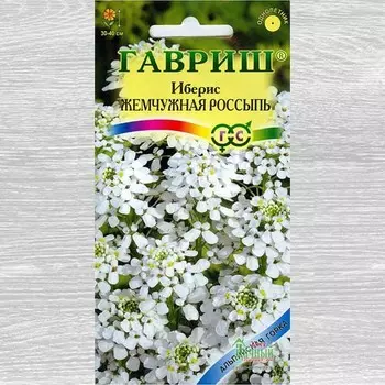 Иберис Жемчужная россыпь Гавриш