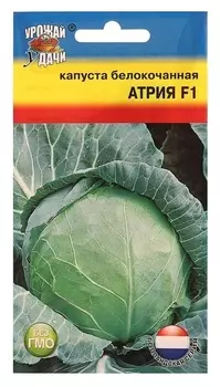 Семена капуста б/к "Атрия" F1,10-11 шт.