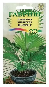 Семена комнатных цветов ливистона китайская "Нефрит", мн., 3 шт.