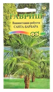 Семена комнатных цветов вашингтония мощная "Санта-барбара", мн., 3 шт.