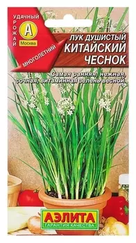 Семена Лук душистый "Китайский чеснок", Мн, 0,3 г