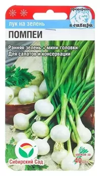 Семена Лук на зелень "Помпеи", 0,5 г