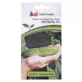 Семена огурец "Чечель", F1, 0,5 г