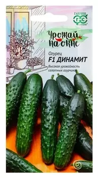 Семена огурец "Динамит" F1, раннеспелый, партенокарпический, 10 шт.