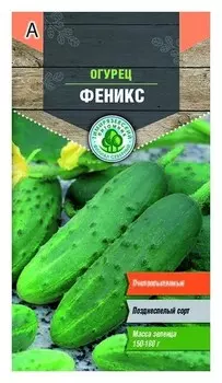 Семена "Огурец. феникс", позднеспелый, пчелоопыляемый, 0,5 грамма