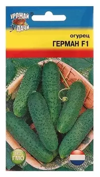Семена огурец "Герман" F1, 8-9 шт.