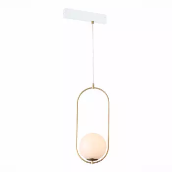 Светильник на шине ST-Luce ST500.203.01