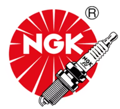 Свеча зажигания NGK 96024, 1шт. (ILKAR8H6)