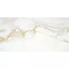 Плитка STN Ceramica P.E.Camile Gold satin rect. 60x120 см