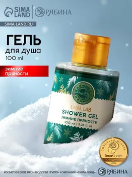 Гель для душа ural lab, 100 мл, аромат зимних пряностей, новый год