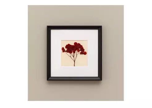 Картина с бордовой гортензией (wowbotanica) бежевый 25x25 см.