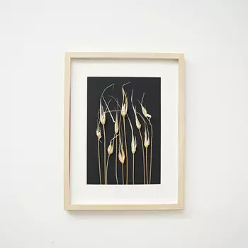 Картина с листьями тюльпана (wowbotanica) черный 30x40x3 см.