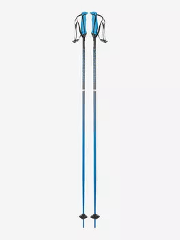 Палки горнолыжные Volkl Phantastick, Синий, размер 135