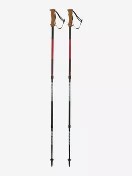 Палки треккинговые Masters Scout, Красный, размер 105-135
