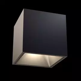 Накладной светильник Maytoni Cover C065CL-L12B4K