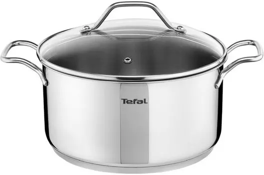 Кастрюля Tefal Intuition A7024485 2.9л. d=20см (с крышкой) серебристый (2100102522)