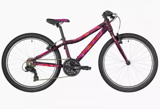 Подростковый велосипед Bergamont Revox Lite Girl 24" 2018