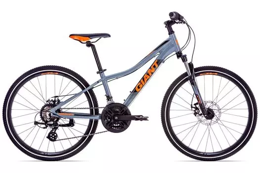 Подростковый велосипед Giant XTC Jr 1 Disc 24" 2019