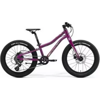 Подростковый велосипед Merida Matts J.20+ Pro, 20", 2022, RU39672