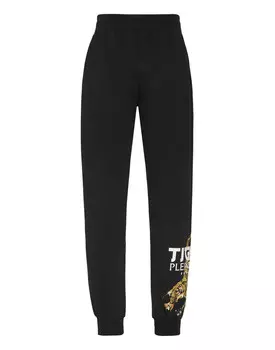 Брюки Спортивные Plein Sport