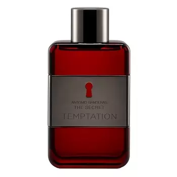 BANDERAS The Secret Temptation 100
