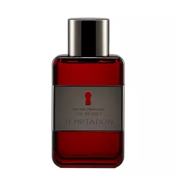 BANDERAS The Secret Temptation 50