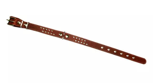 Ошейник для собак кожаный коньячный 40 - 54 см x 25 мм Аркон (1 шт)