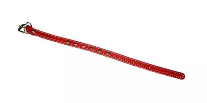 Ошейник для собак кожаный красный 22 - 29 см x 14 мм Аркон (1 шт)