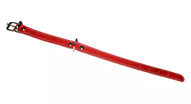 Ошейник для собак кожаный красный 26 - 34 см x 16 мм Аркон (1 шт)