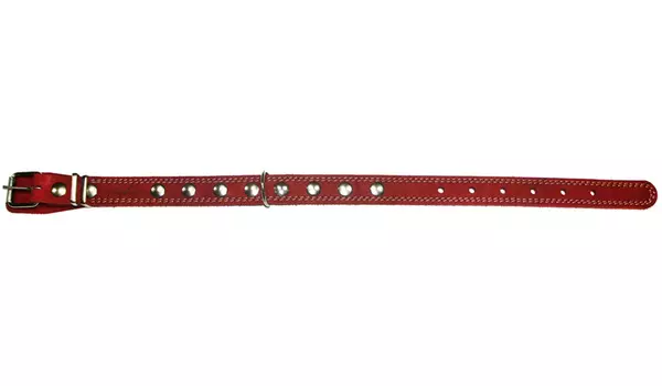 Ошейник для собак кожаный красный 40 - 54 см x 25 мм Аркон (1 шт)