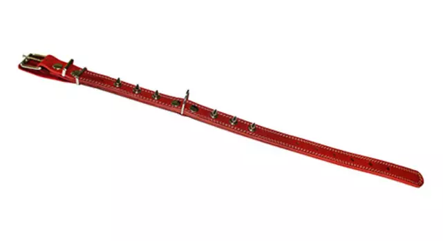 Ошейник для собак кожаный с шипами красный 40 - 54 см x 25 мм Аркон (1 шт)